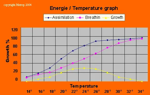 Büyüyen sıcaklık / enerji