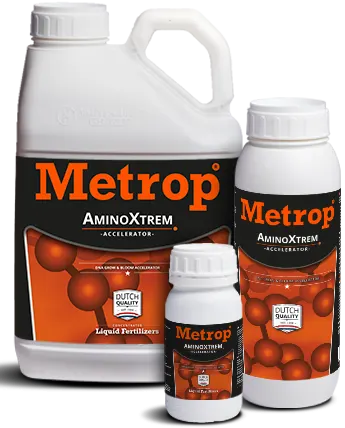 Amino Bloom Stimülatörü